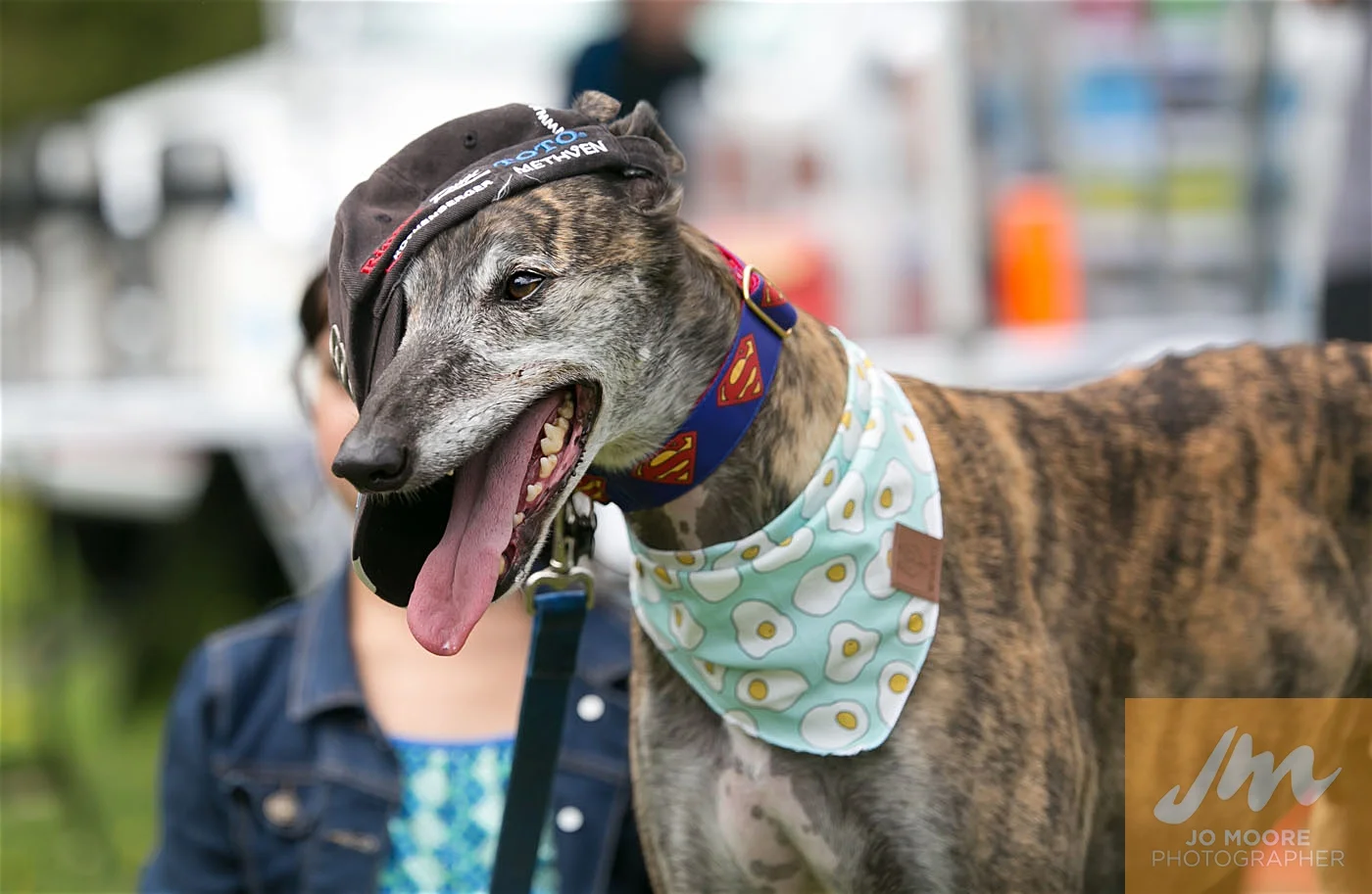 Paws in the Park-158.jpg