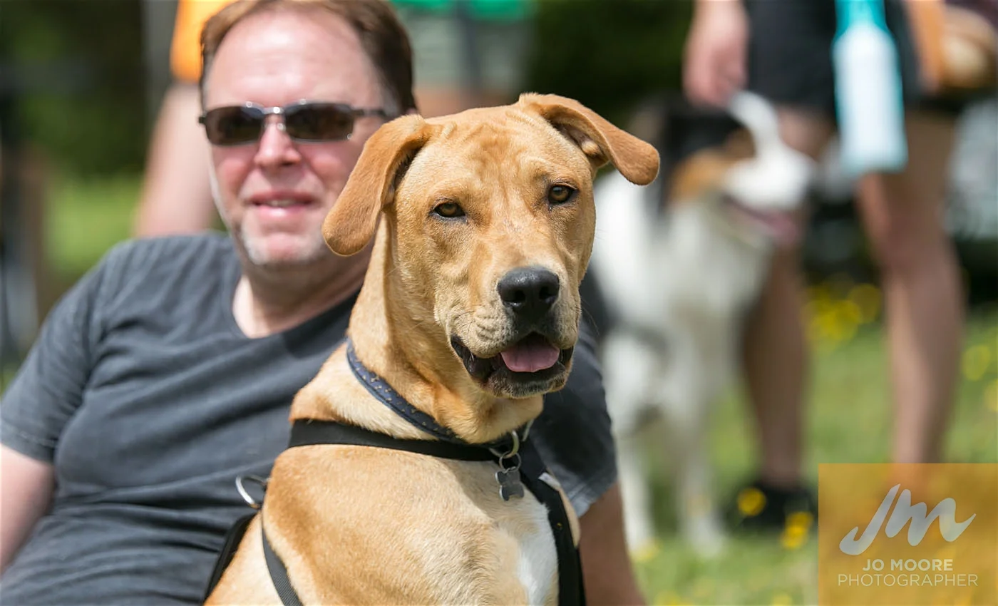 Paws in the Park-161.jpg