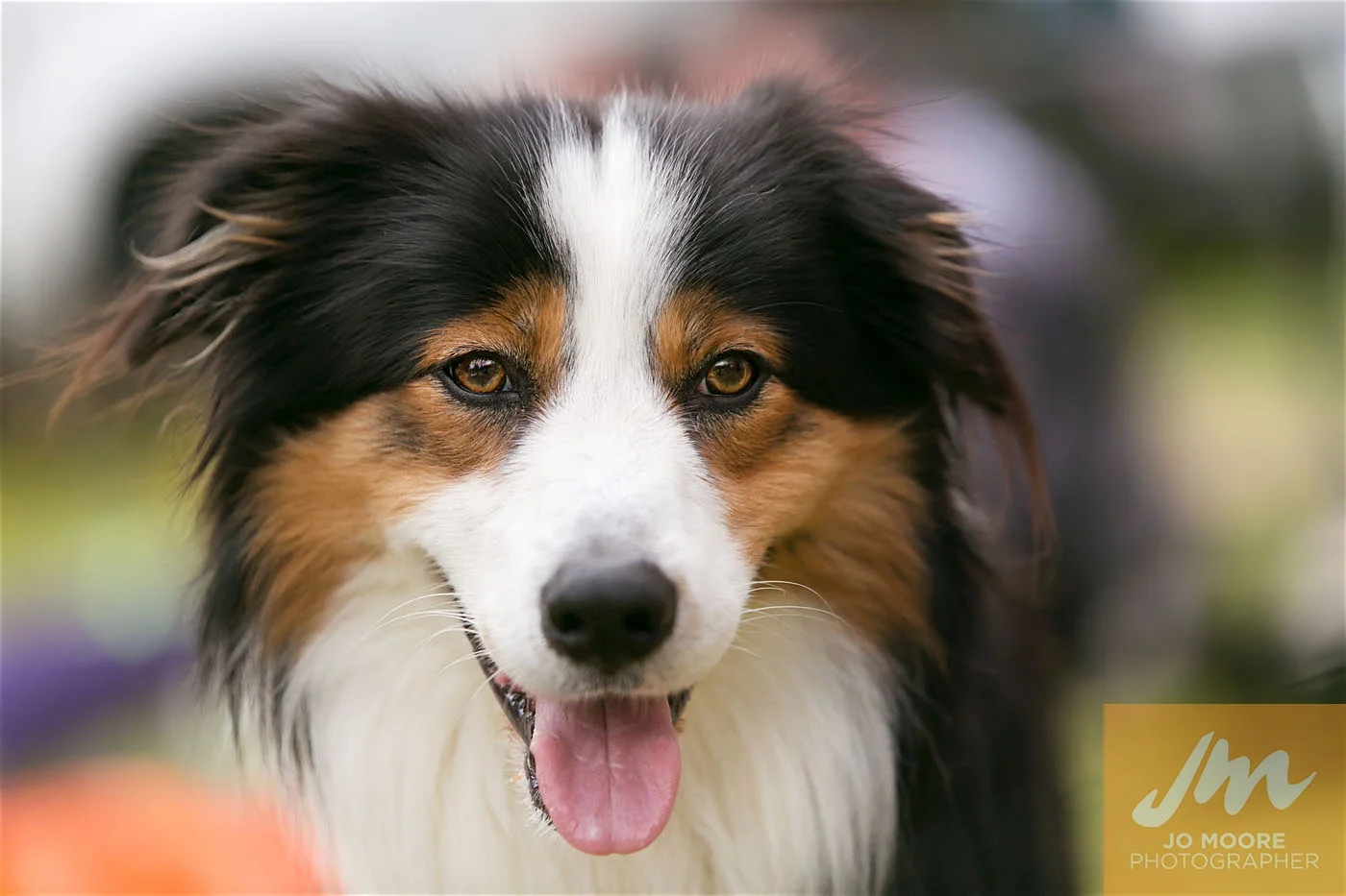 Paws in the Park-165.jpg