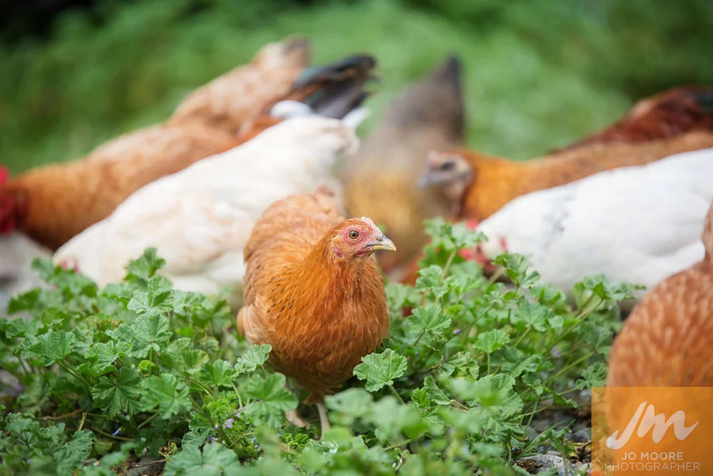 Nick and Rebecca-96.jpg