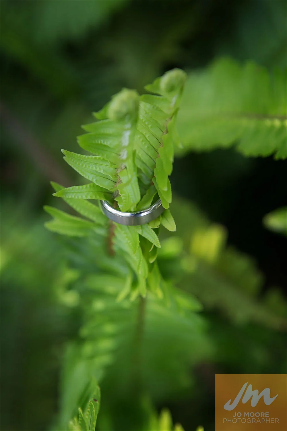 Teresa and Tim-19.jpg