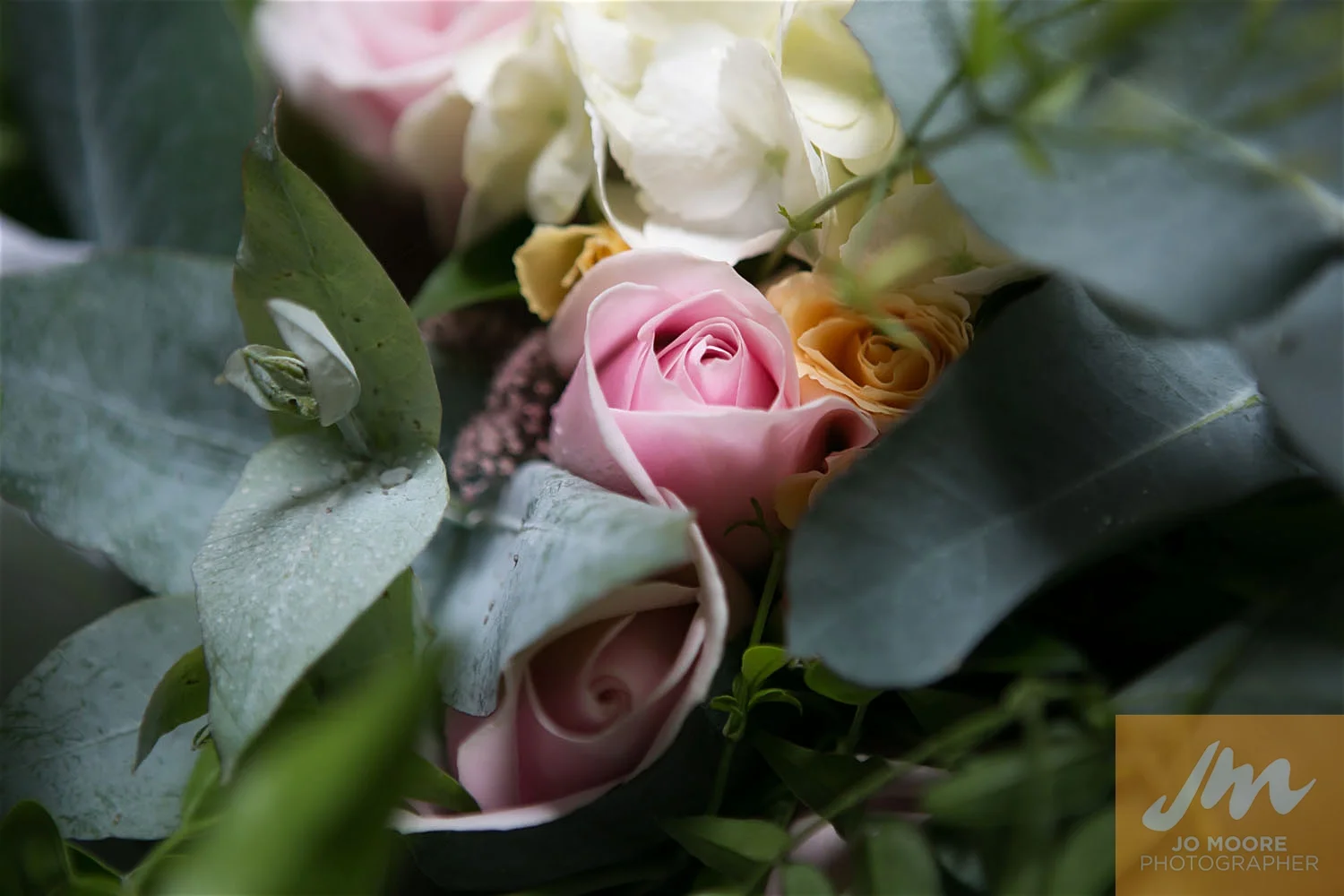 Teresa and Tim-36.jpg