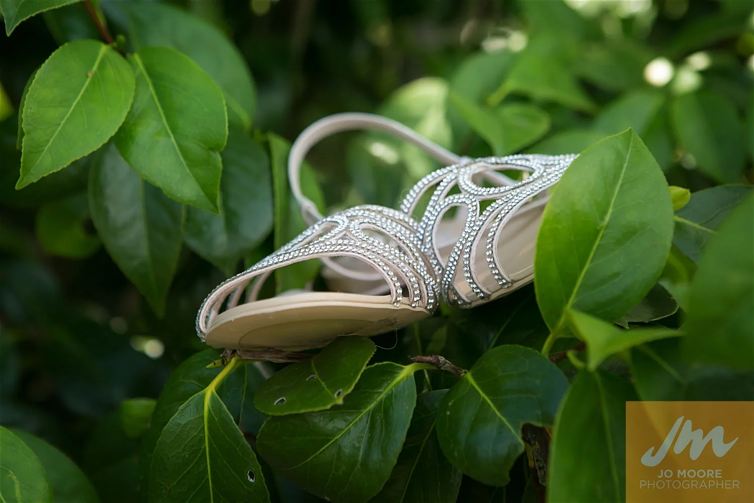 Teresa and Tim-54.jpg