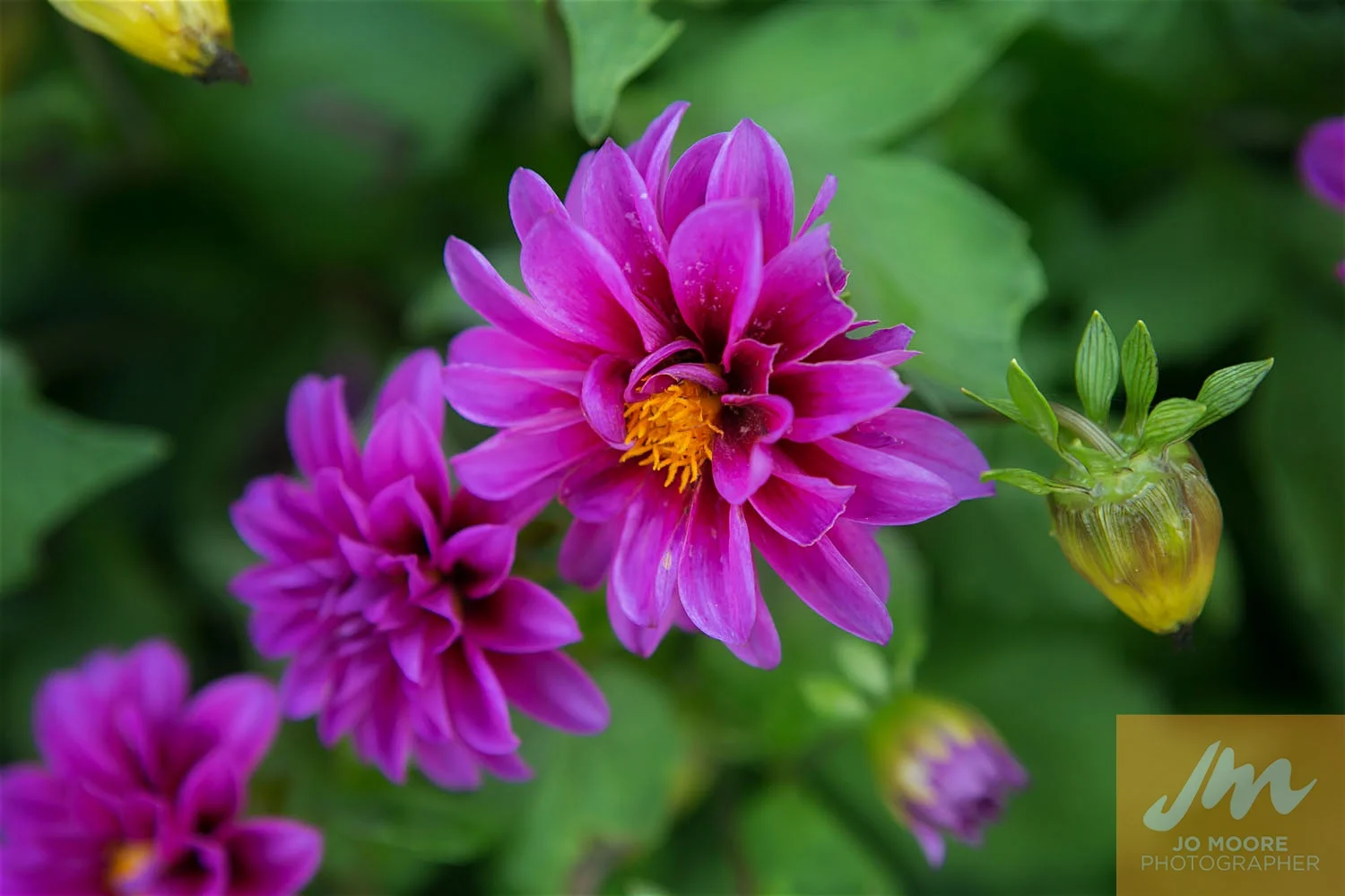 Teresa and Tim-942.jpg