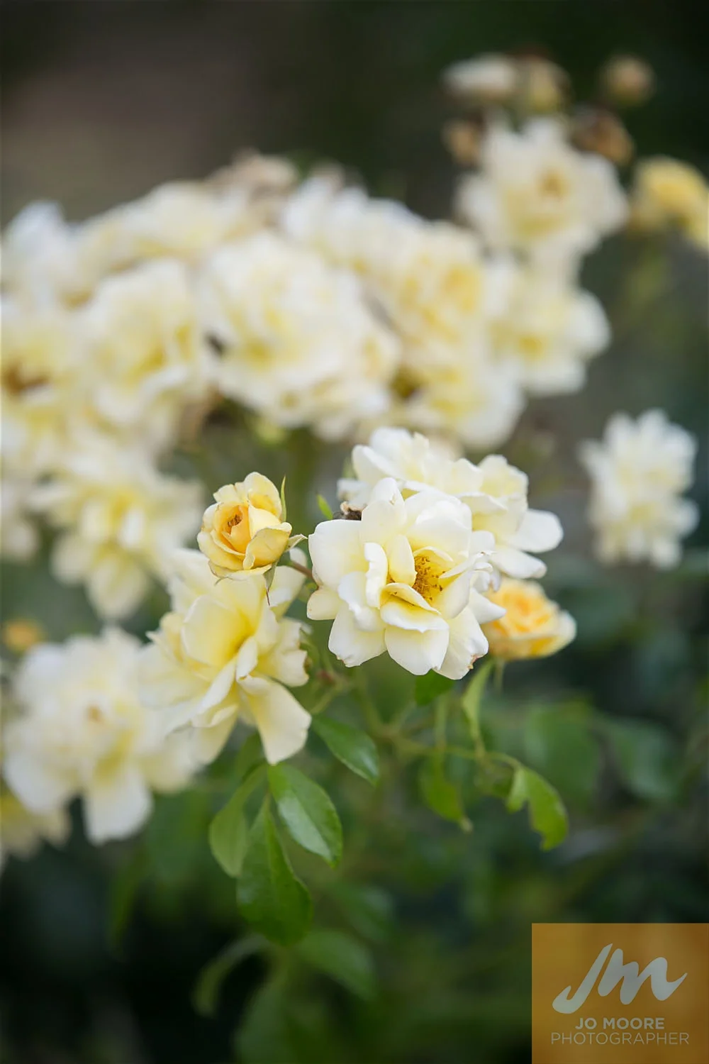 Teresa and Tim-957.jpg