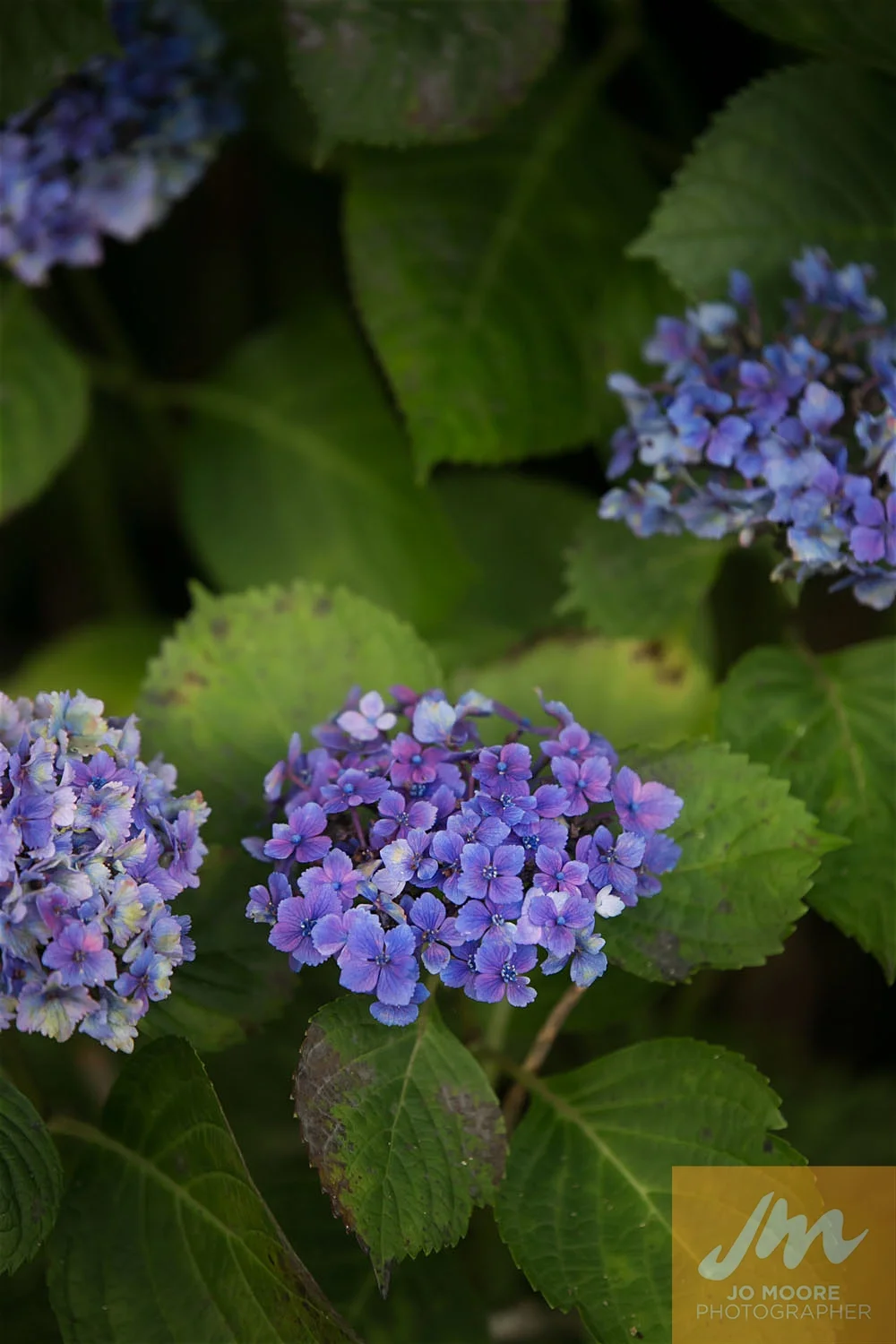 Teresa and Tim-960.jpg