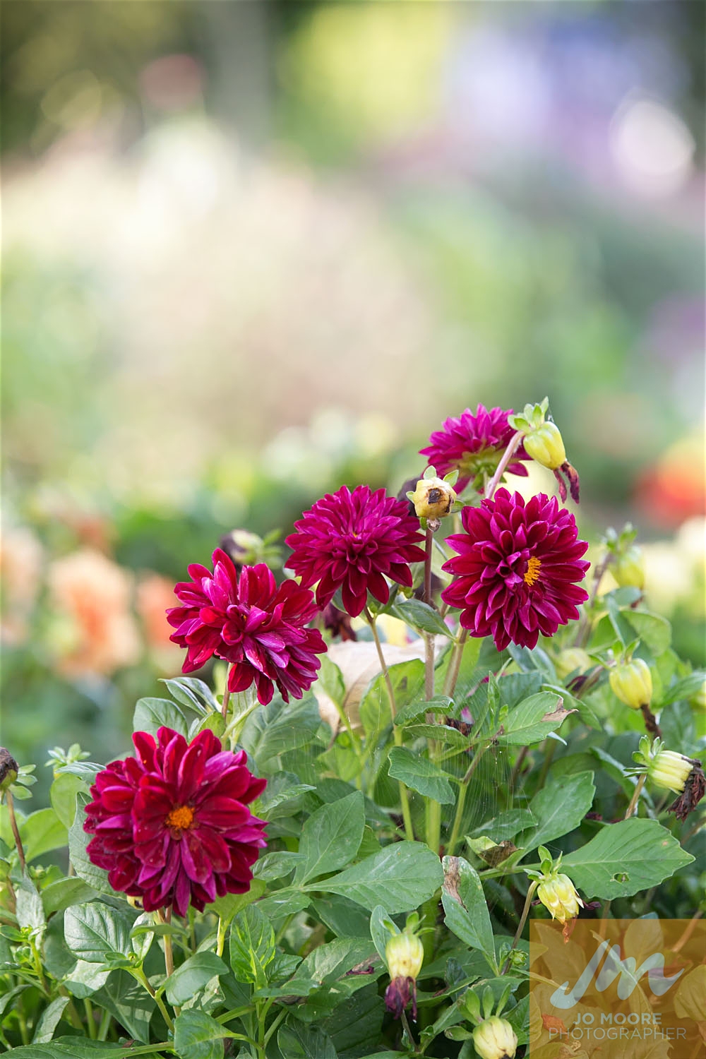 Teresa and Tim-950.jpg