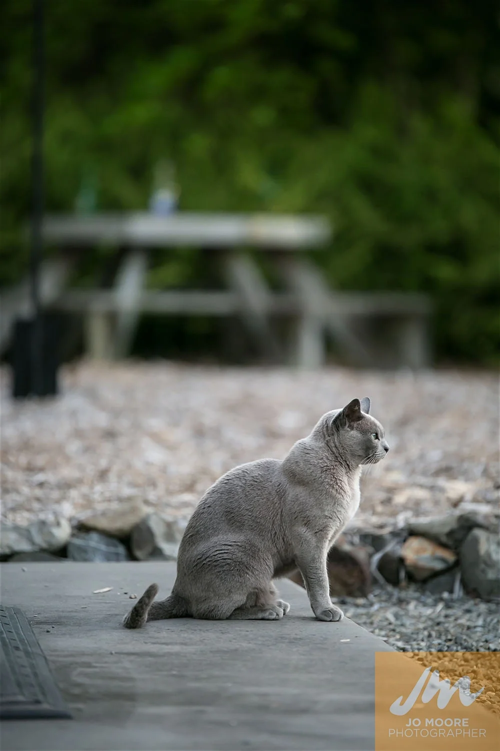 Teresa and Tim-1107.jpg