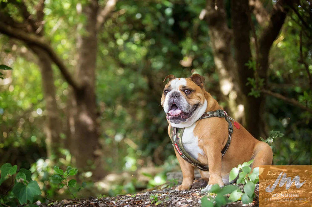 Charlie and Rose-6.jpg