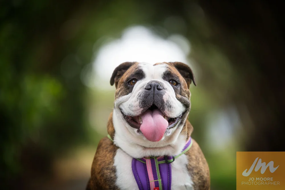 Charlie and Rose-27.jpg