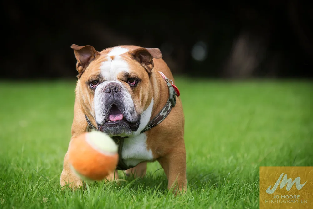 Charlie and Rose-47.jpg