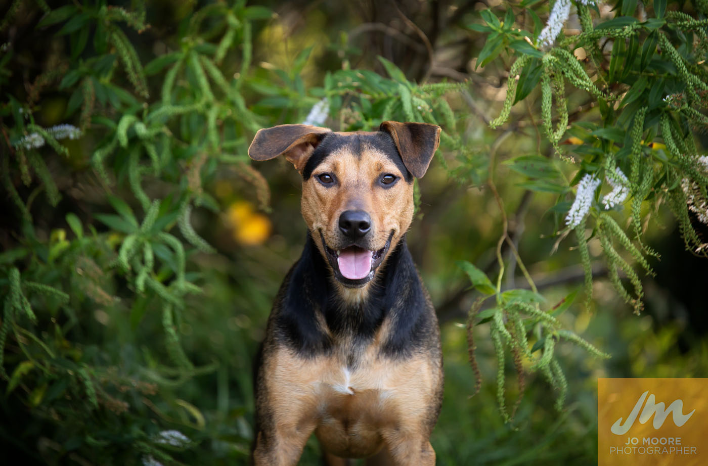 Bosco-47.jpg