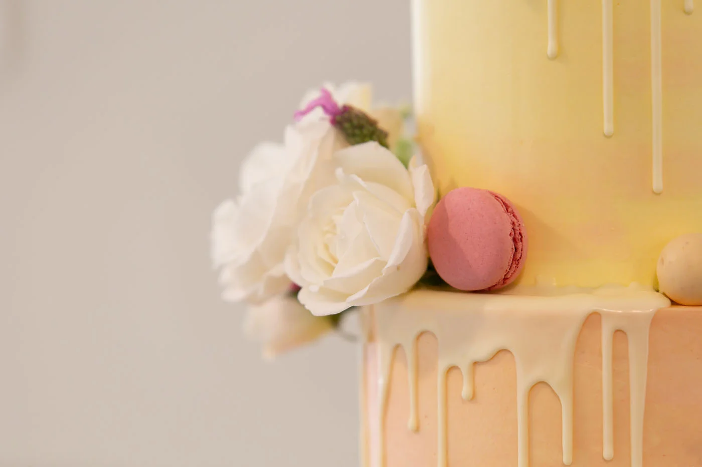 Caitlin and Dan-125.jpg