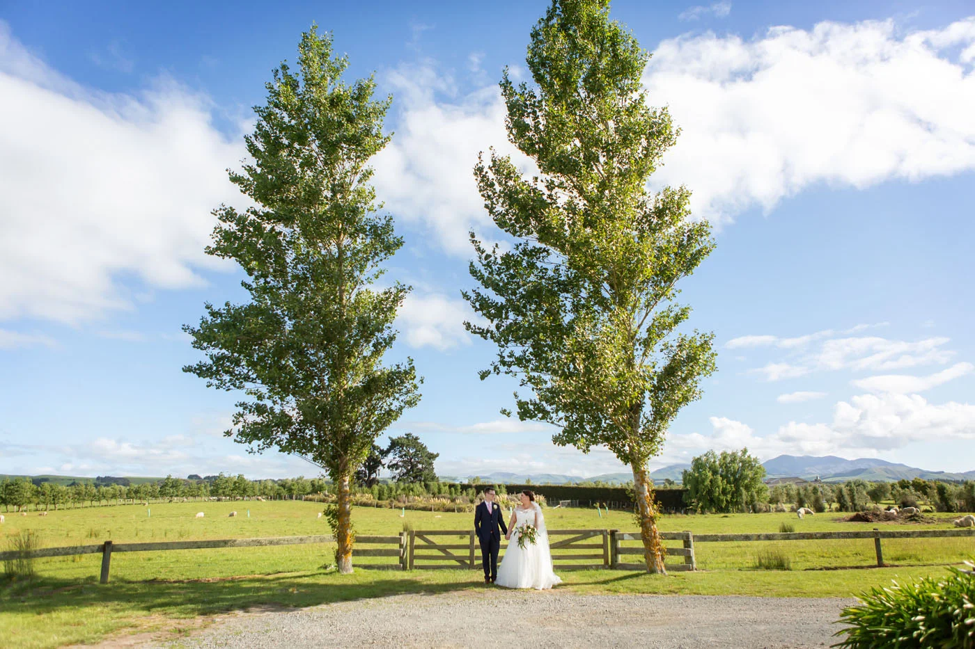 Caitlin and Dan-619.jpg