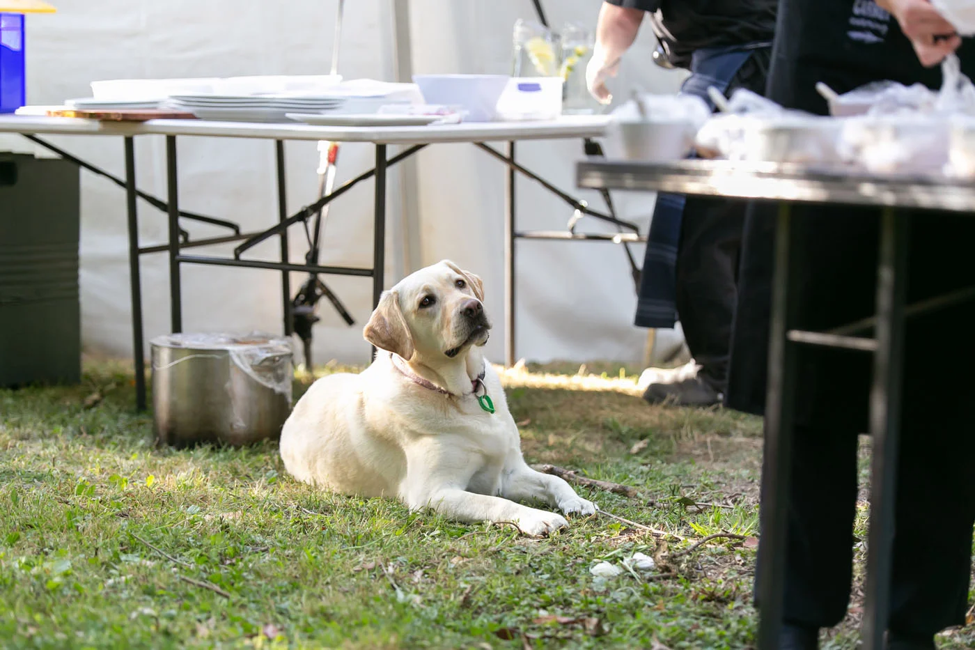 Hannah and Nick-815.jpg