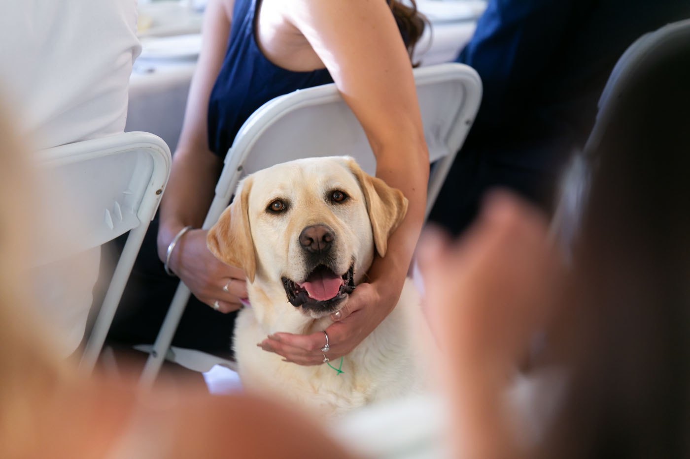 Hannah and Nick-849.jpg