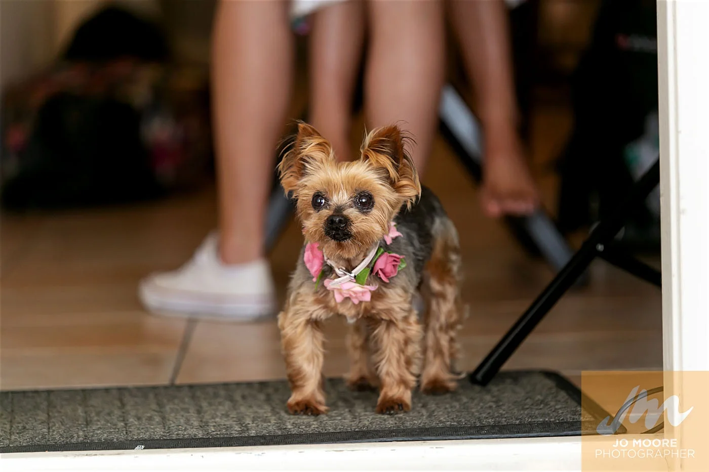 Amanda and Steven-185.jpg