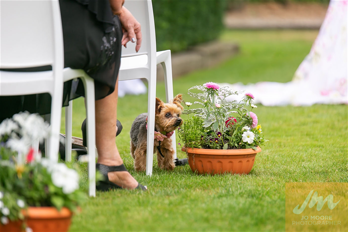 Amanda and Steven-457.jpg