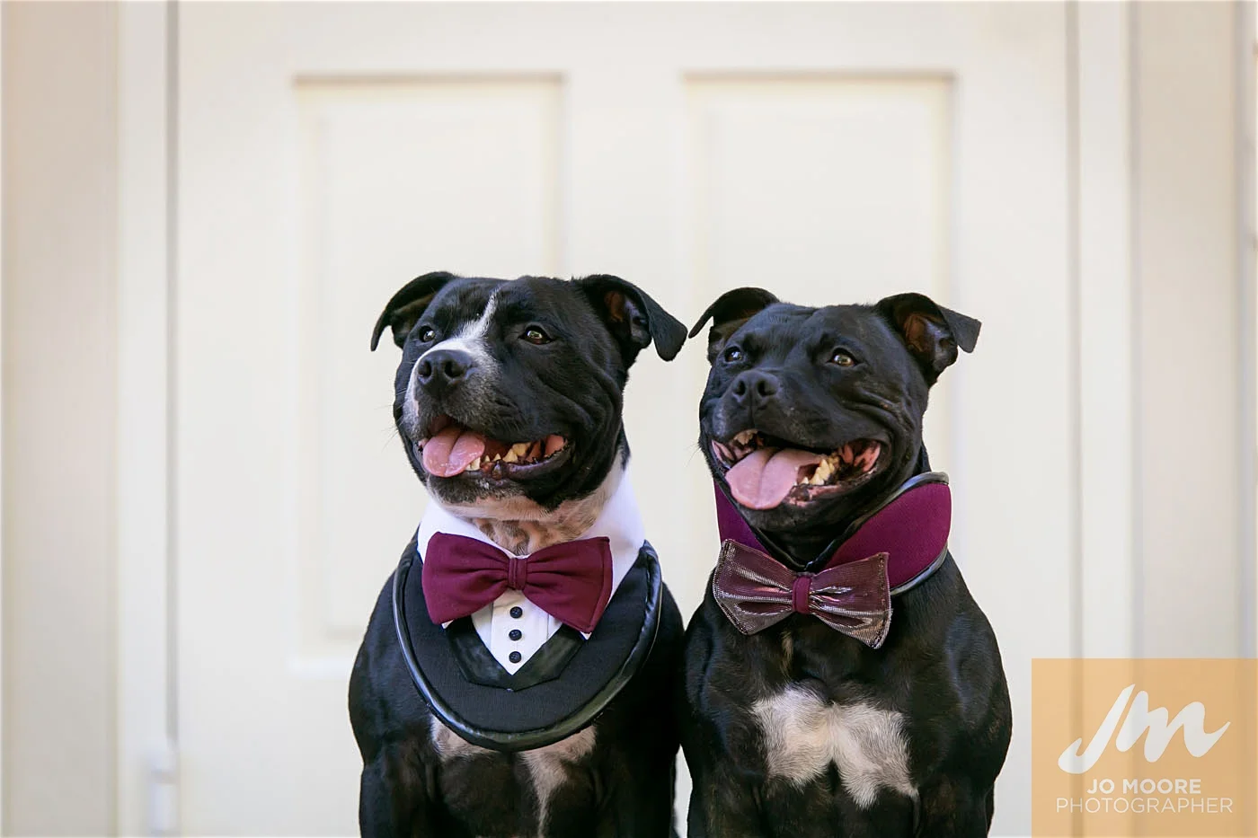 Laura and Keren-40.jpg