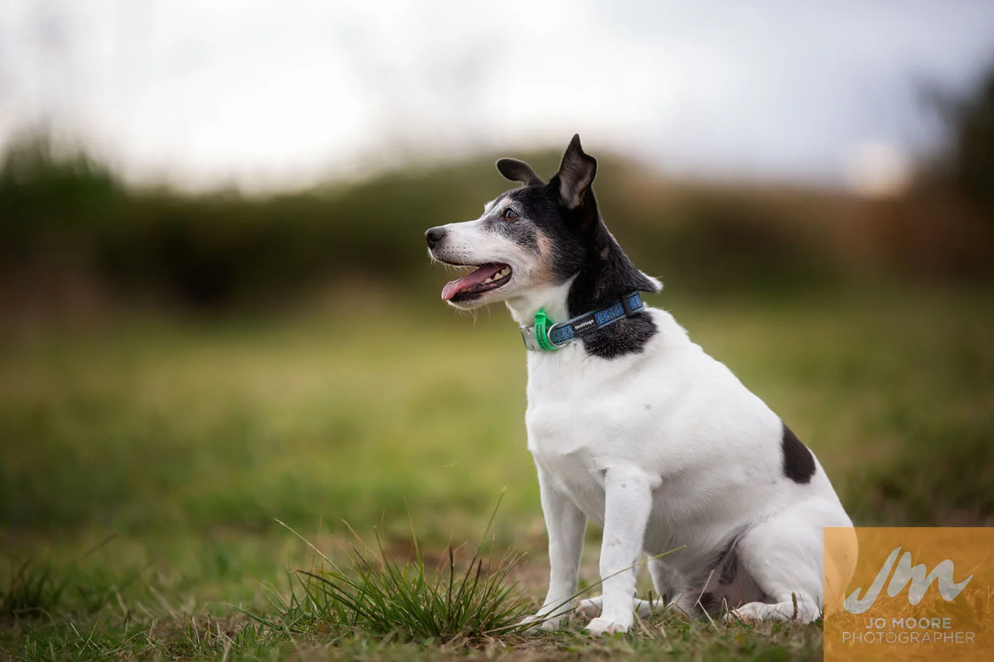 Portraits-37.jpg