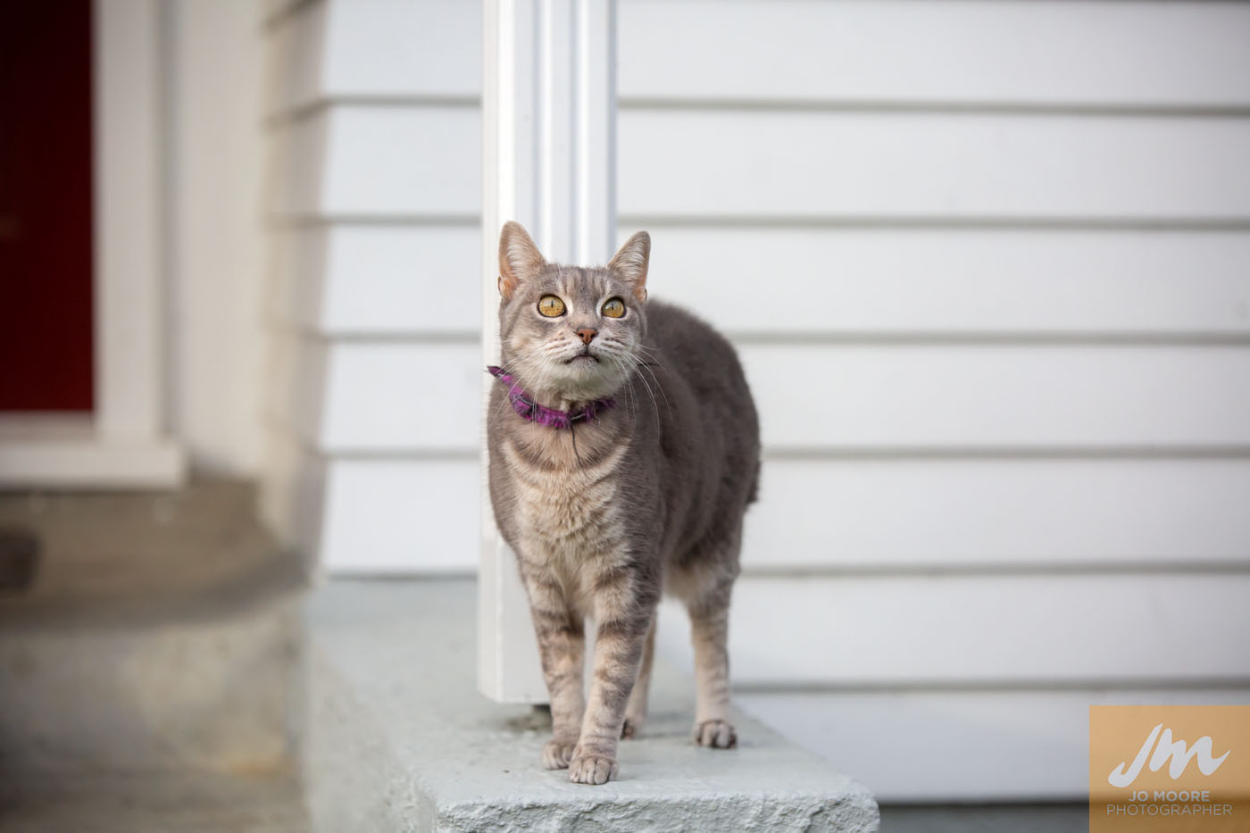 Zoey-43.jpg