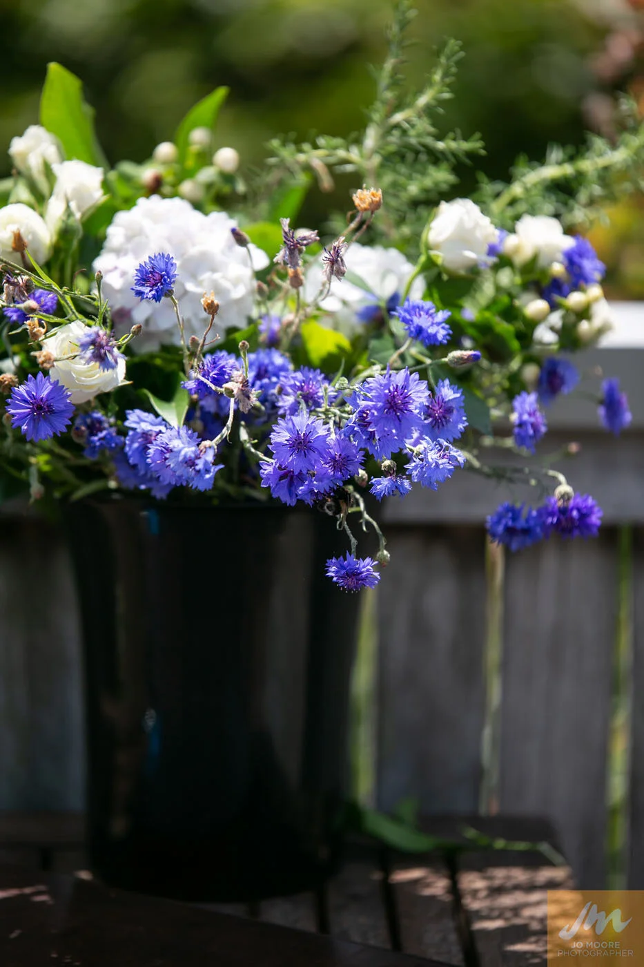 Cathi and Jeff-2.jpg