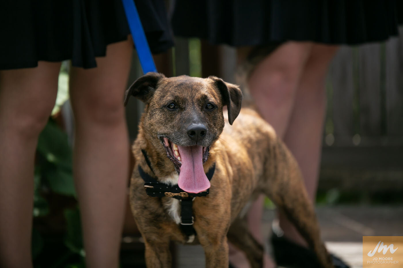 Cathi and Jeff-100.jpg