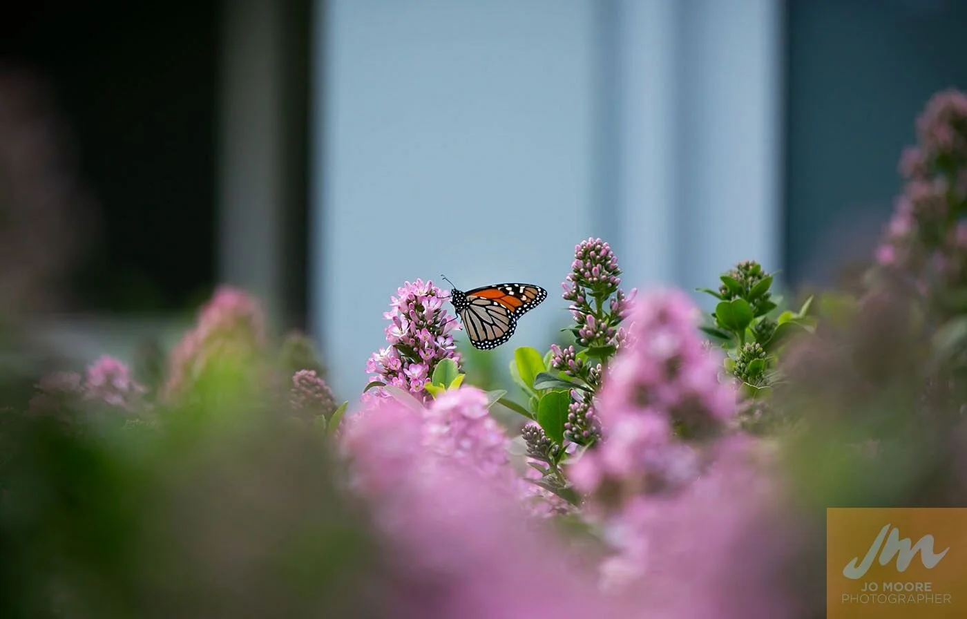 Ashika and Ben-130.jpg