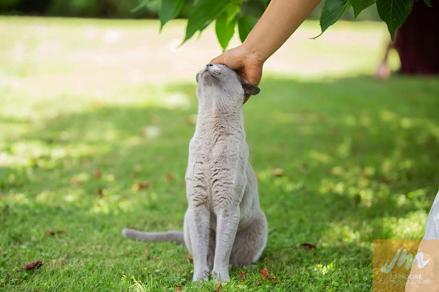 Ashika and Ben-381.jpg