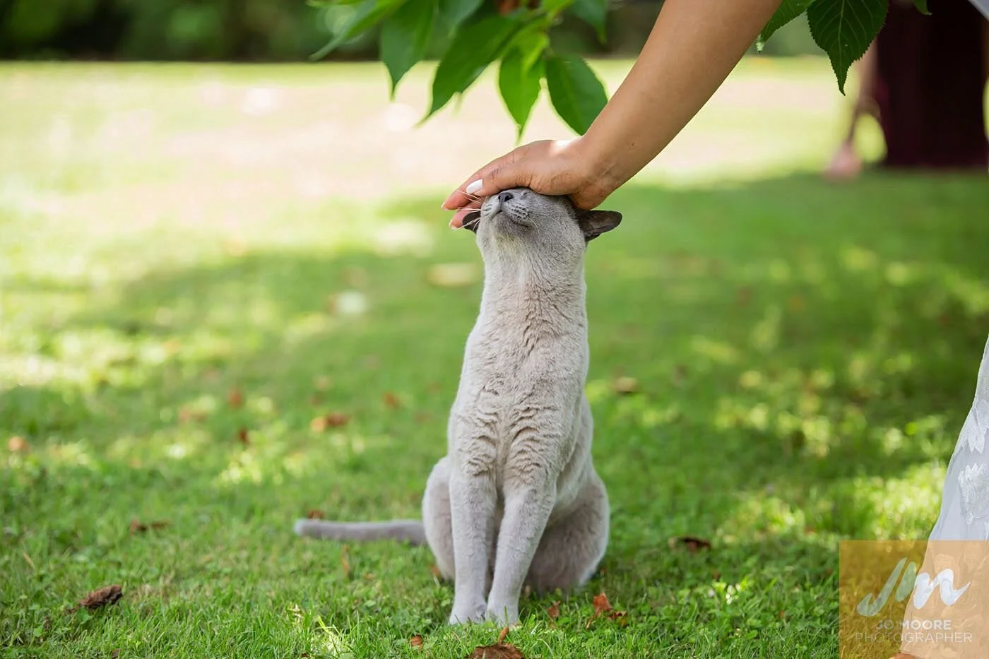 Ashika and Ben-383.jpg