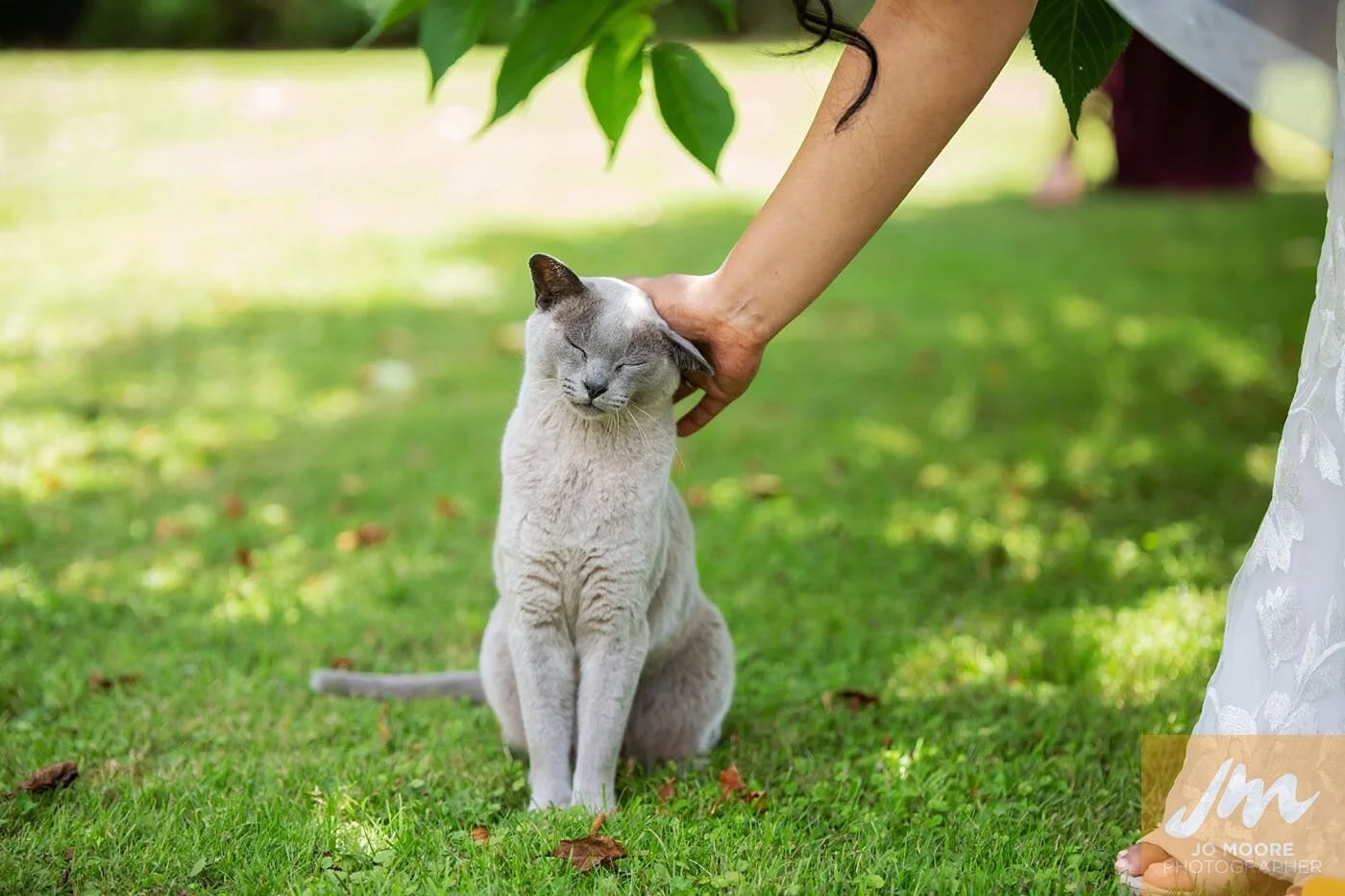 Ashika and Ben-385.jpg