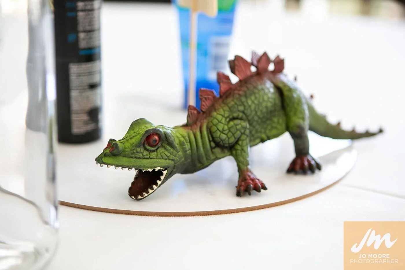 Ashika and Ben-411.jpg