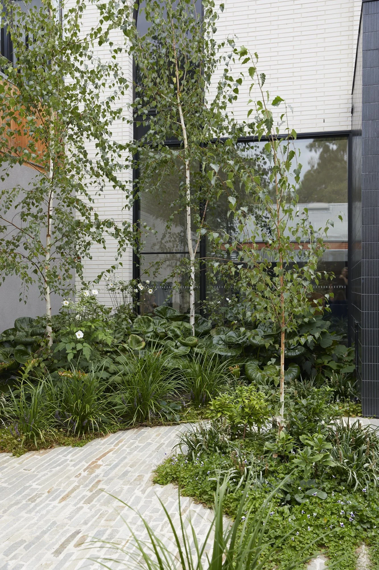 north-fitzroy-house-garden.webp