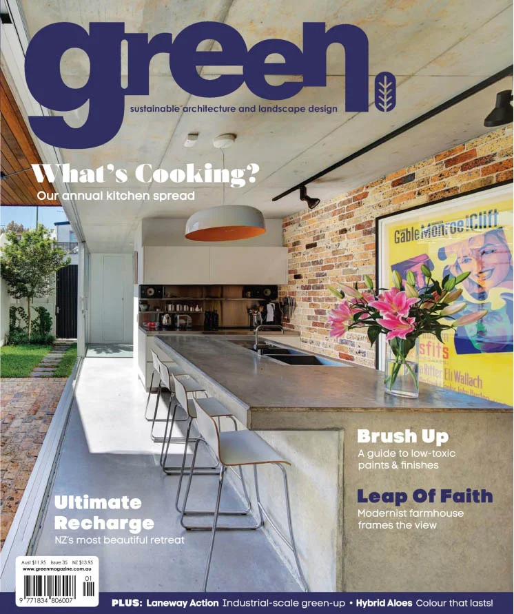 green magazine cover.jpg
