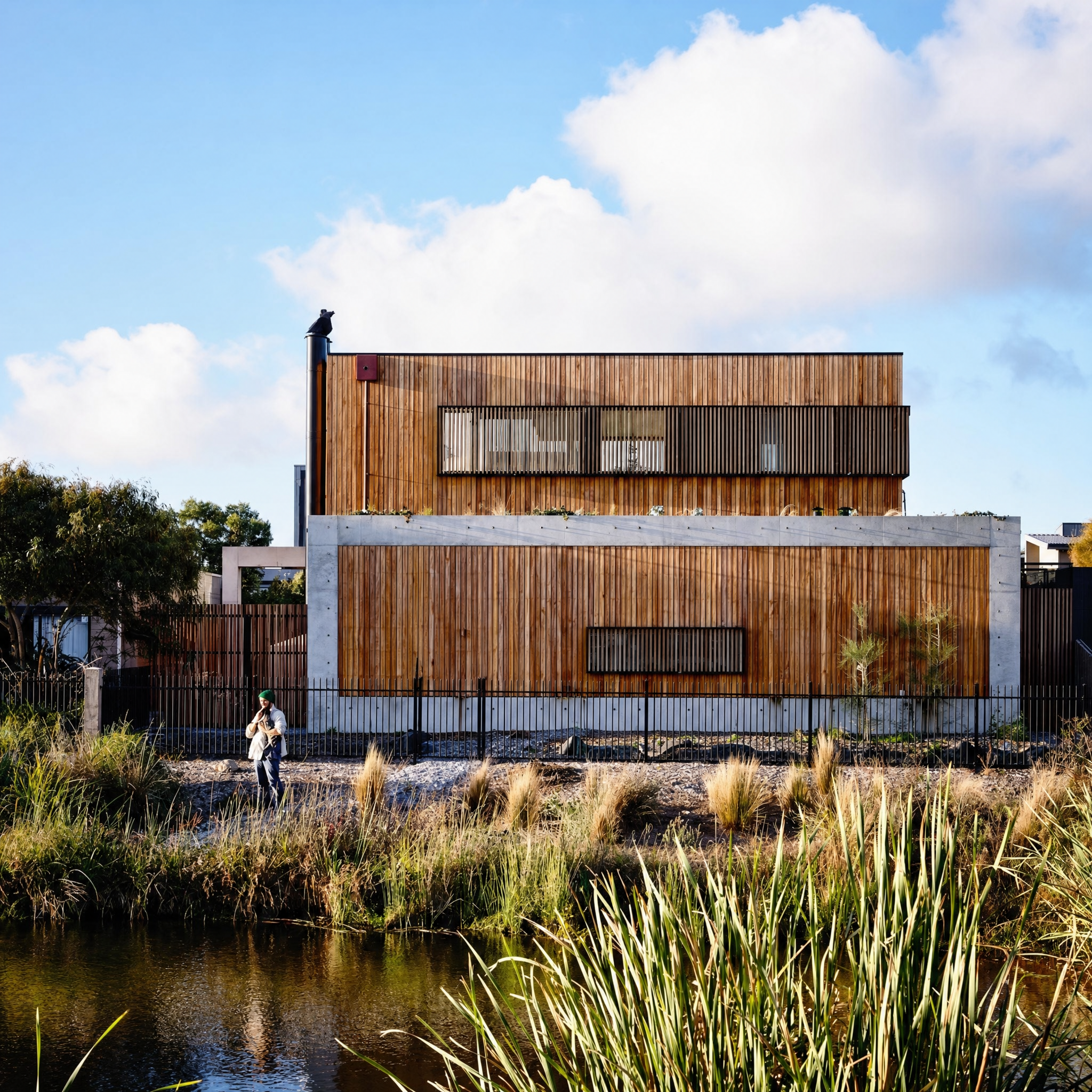 torquay-concrete-timber-house 2.png