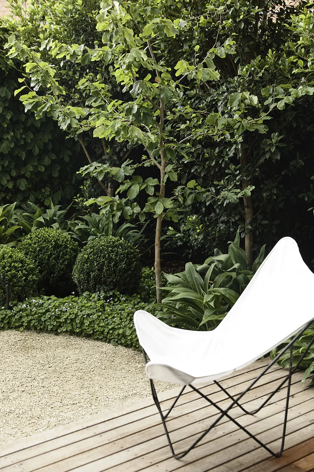 middle-park-house-garden.webp