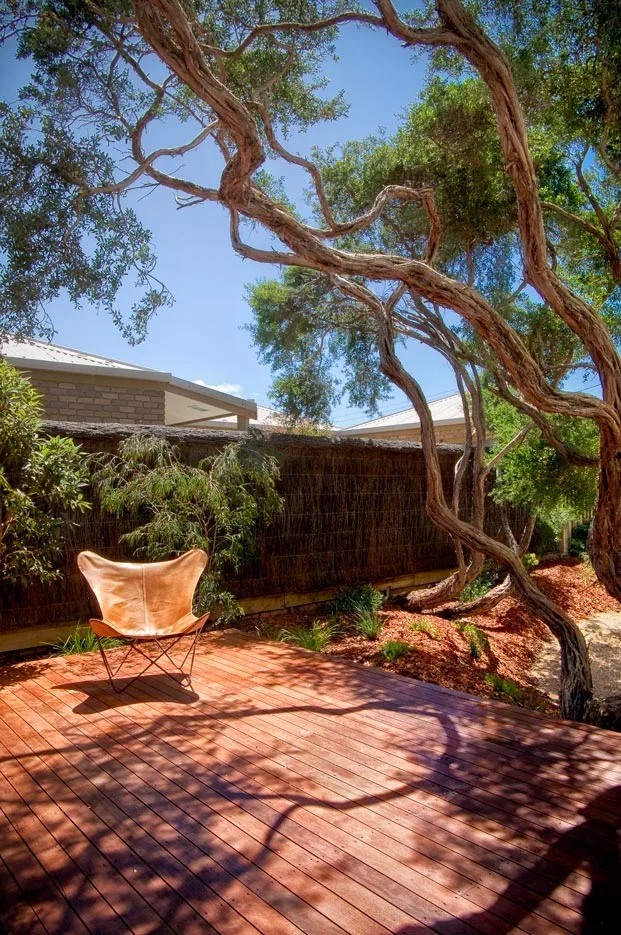 barwon-heads-house-courtyard.webp