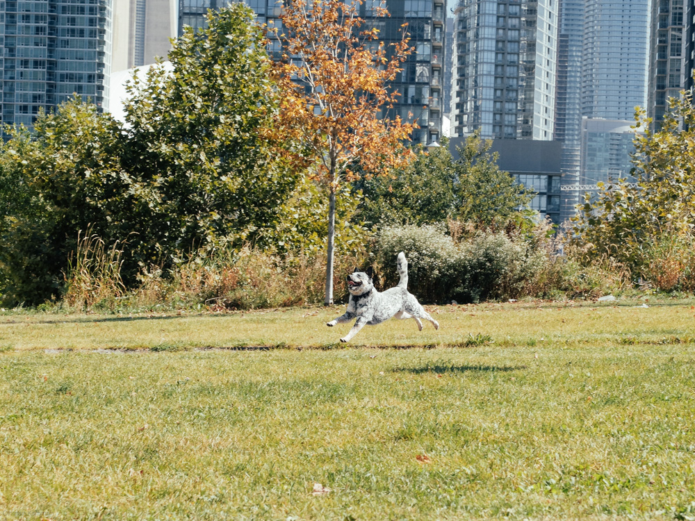 DSCF2075.jpg
