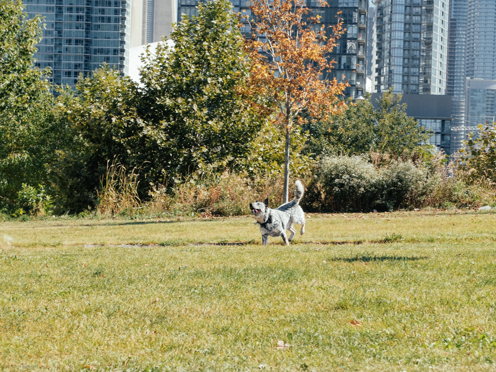 DSCF2076.jpg