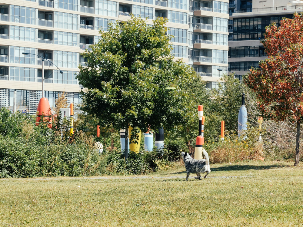 DSCF2091.jpg