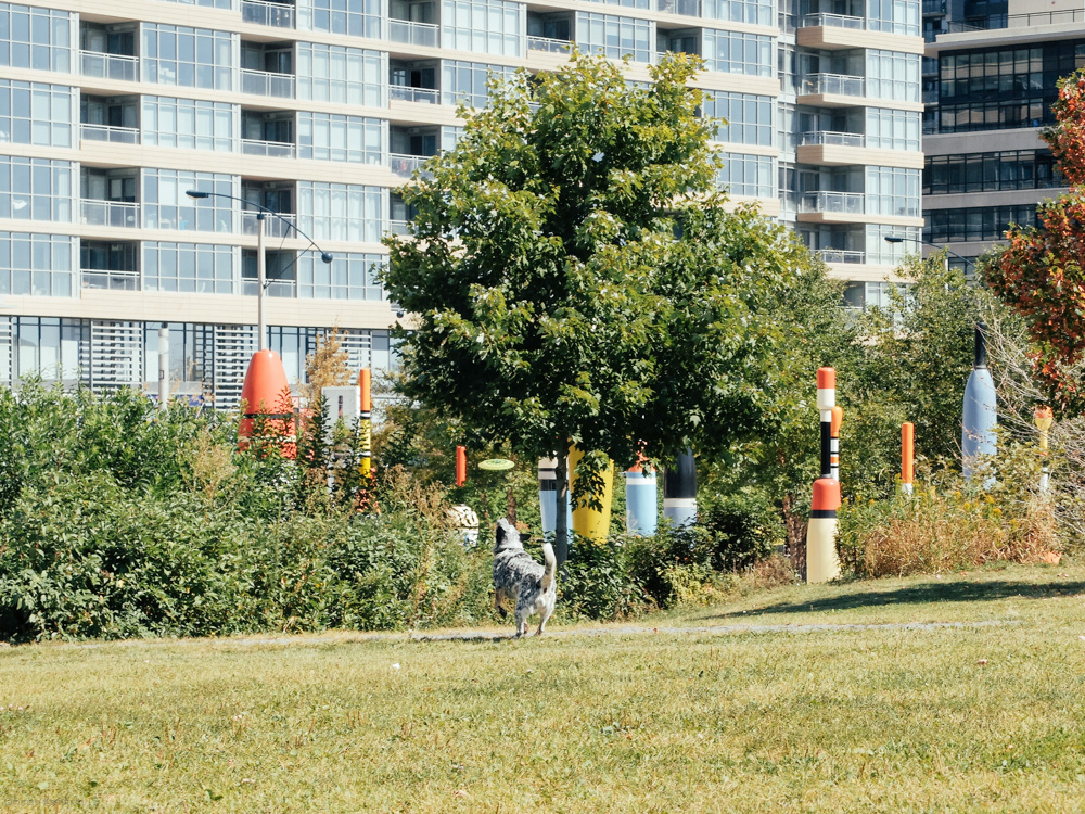DSCF2093.jpg