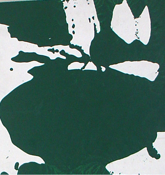 violet lake canyon / stare and close your eyes, 2006