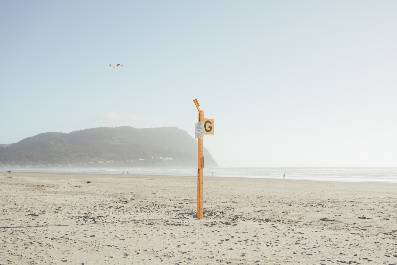 Warning System baffles local gulls.