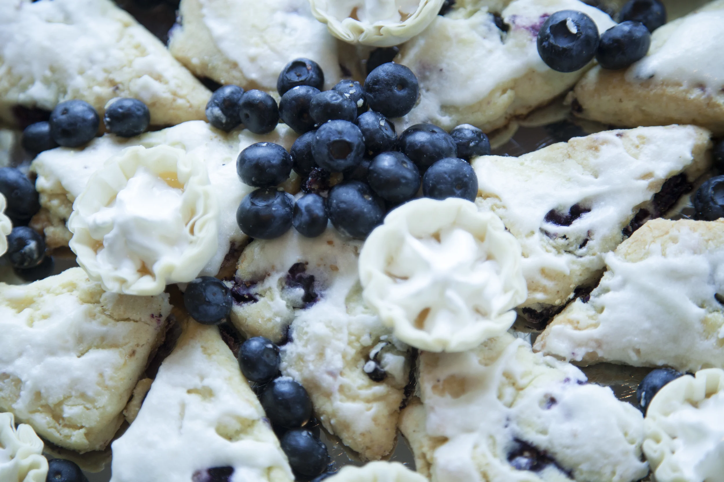 Blueberry desserts.JPG