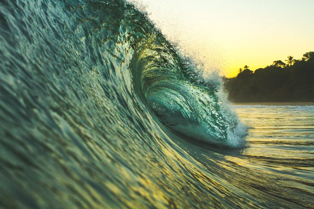 Green+and+Gold.jpeg