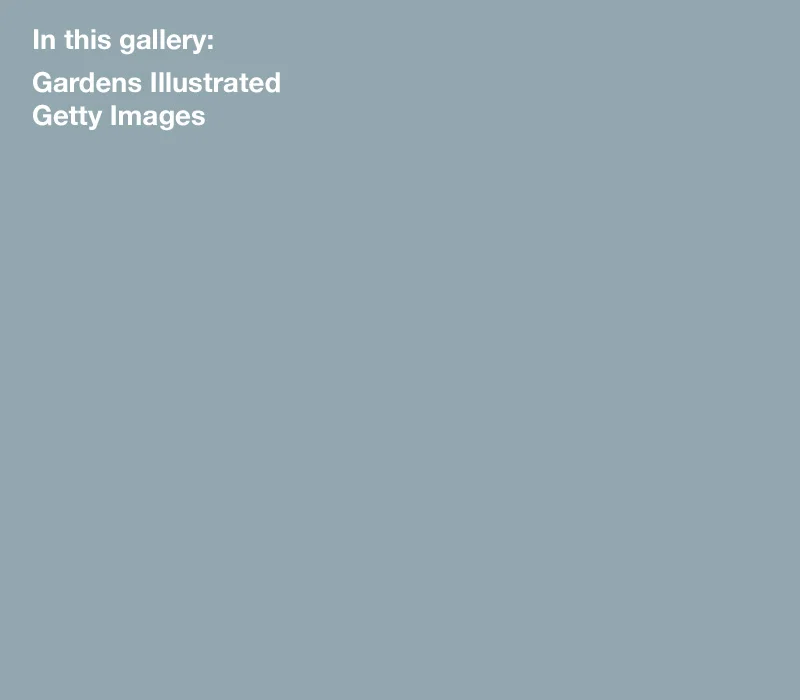 plants gallery.jpg
