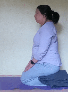 Kneeling cat