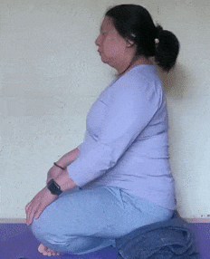 Seated cat from the floor