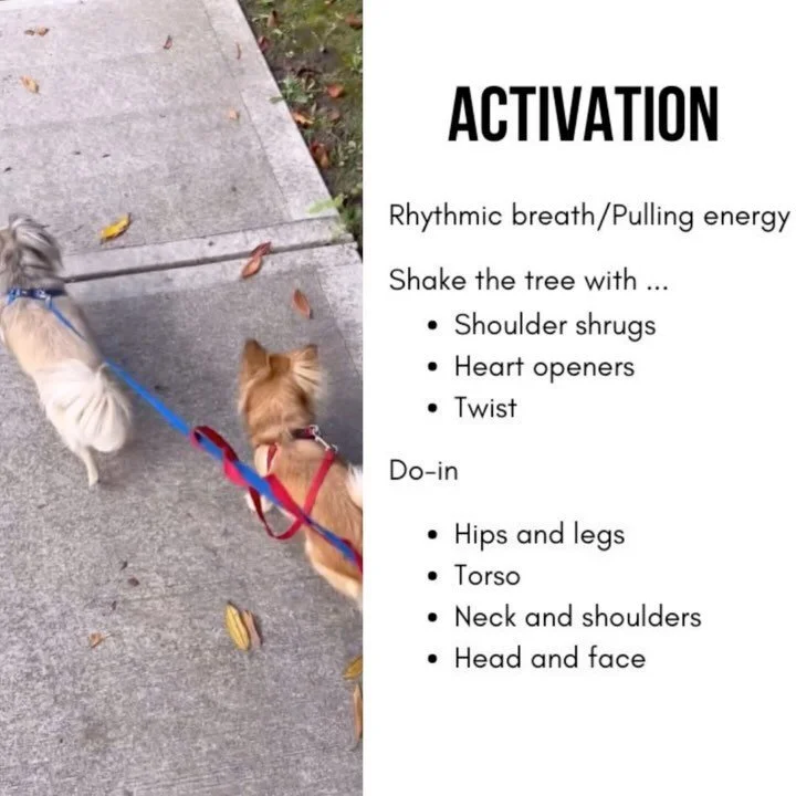 ⚡️ ACTIVATE 🔋
Feeling tired? Need an energy boost?

A friend shared at @energybody.02 &lsquo;s 60-second activation and I was inspired to create a longer variation expanding on the practices and introducing some of my favourites.

Do as many or as f