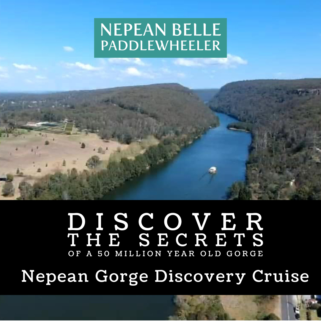 Nepean Gorge Discovery Cruise